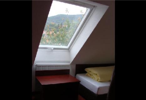 Dettingen an der Erms Gasthaus Traube מראה חיצוני תמונה